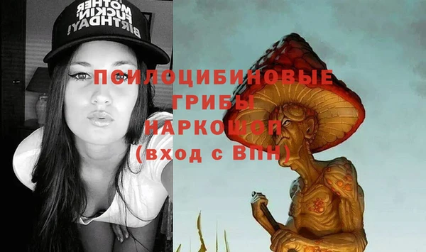 синтетический гашиш Алексин